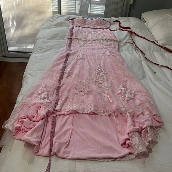 Hebron Pink Wedding Dress Sheer Embroidered Floral Lace High End - Picture 13 of 13